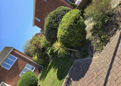 493916239 122108074292842529 1882821965563775418 n