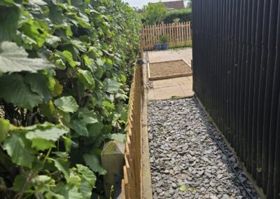 509426722 122122491818842529 1279885391715429252 n