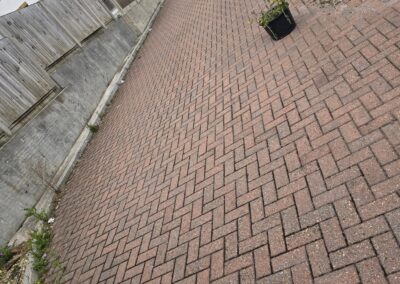 517414180 122127009680842529 636142167101873077 n