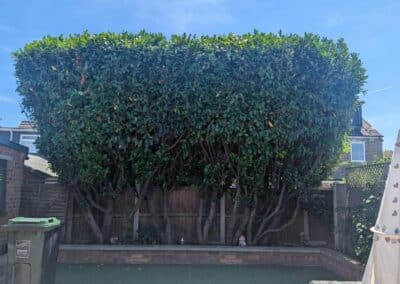 518312971 122127560102842529 6929718382364668542 n