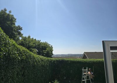 530370536 122134464998842529 7108699617054989434 n