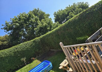 532151415 122134465298842529 4932656549164976599 n