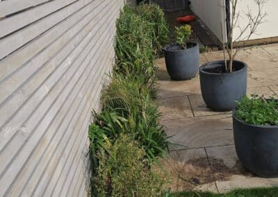 sams garden services facebook gallery 24