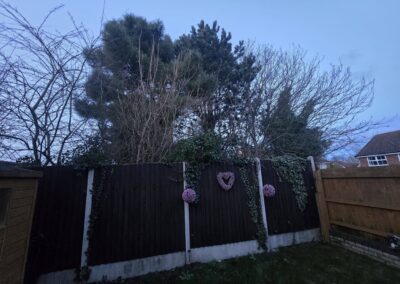 sams garden services facebook gallery 4