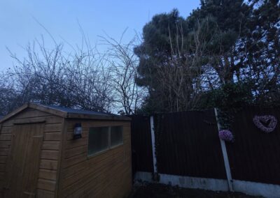 sams garden services facebook gallery 5