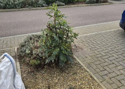 sams garden services facebook gallery 7