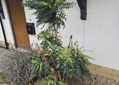 sams garden services facebook gallery 8